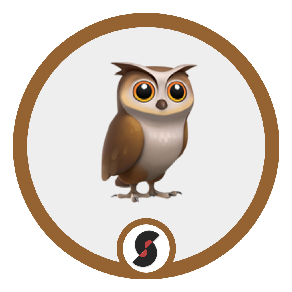 Night Owl